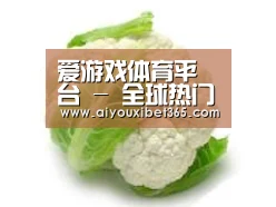 产品名称九