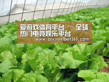 种植基地一