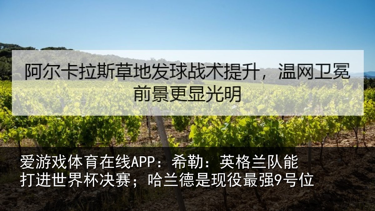 爱游戏体育在线APP：希勒：英格兰队能打进世界杯决赛；哈兰德是现役最强9号位