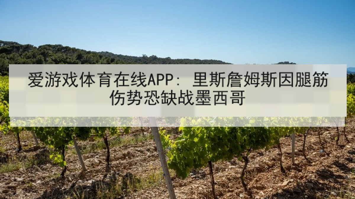 爱游戏体育在线APP: 里斯詹姆斯因腿筋伤势恐缺战墨西哥 爱游戏体育在线APP: 里斯詹姆斯因腿筋伤势恐缺战墨西哥