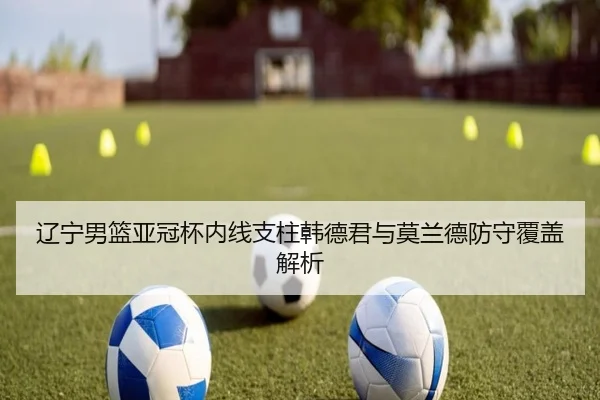 liao-ning-nan-lan-ya-guan-bei-nei-xian-zhi-zhu-han-de-jun-yu-mo-lan-de-fang-shou-fu-gai-jie-xi-3-292.jpg